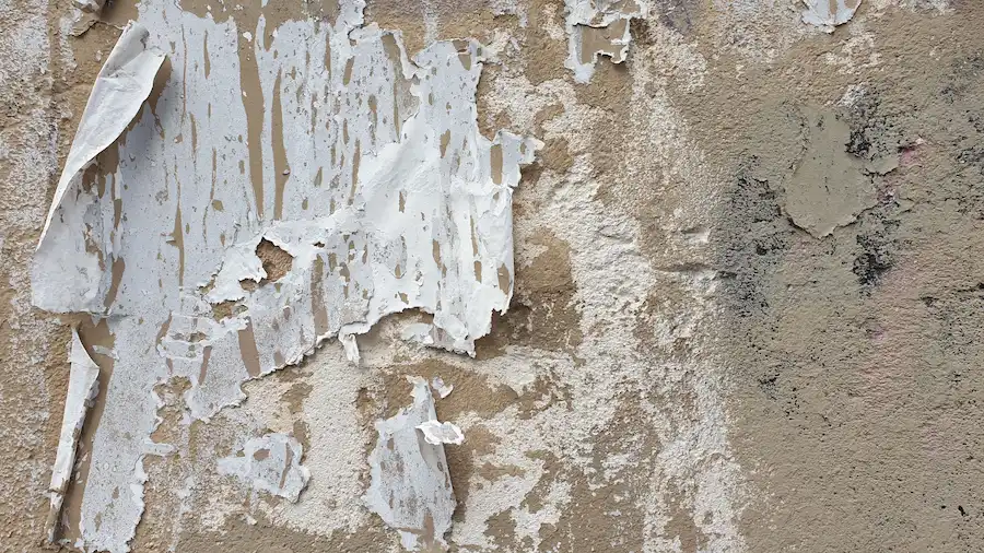Peeling exterior wall finish with exposed surface beneath, featured by Los Angeles Stucco Build & Repair.